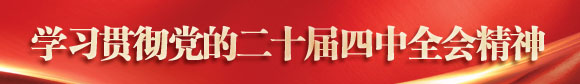 学习贯彻党的二十届四中全会精神